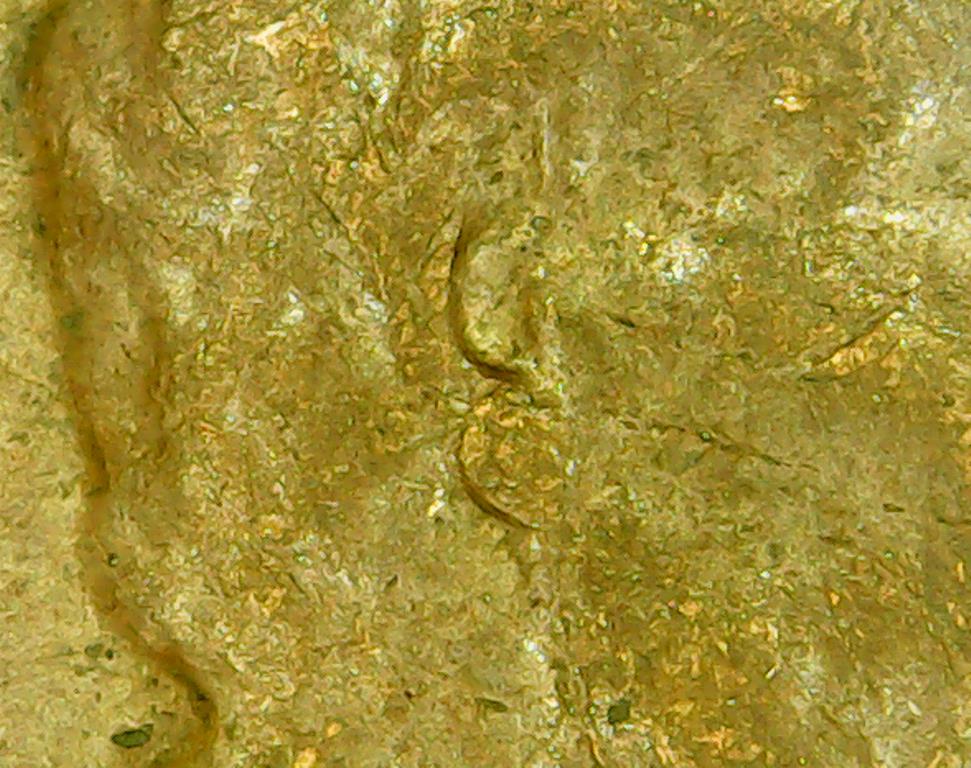 1964-D-US-Lincoln-Penny,-